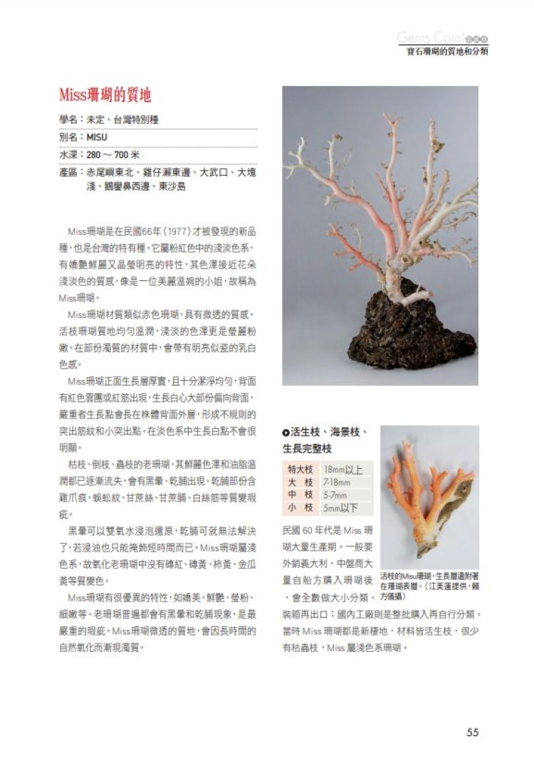 寶石珊瑚-台灣紅金傳奇